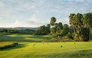 Avalon Golf Estate