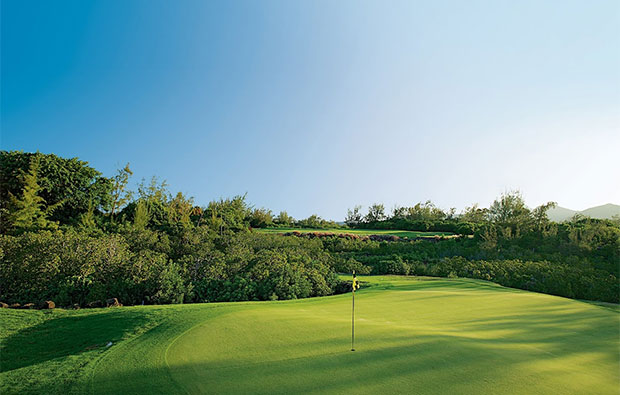 Ile aux Cerfs Golf Club Green