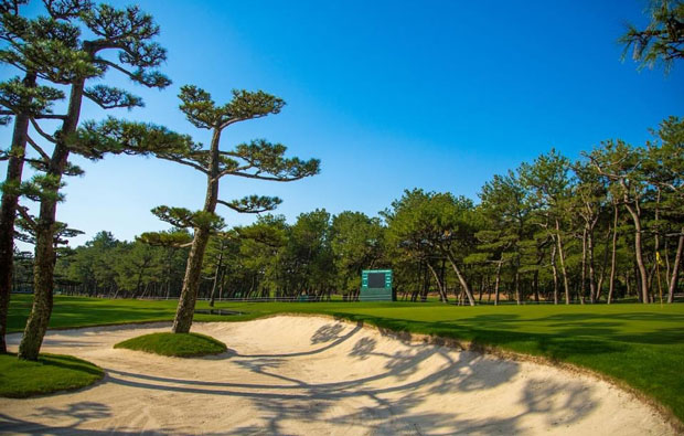 Phoenix Country Club Bunkers