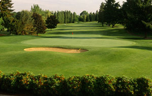 view from behind the green, riverside golf club, jakarta, indonesia