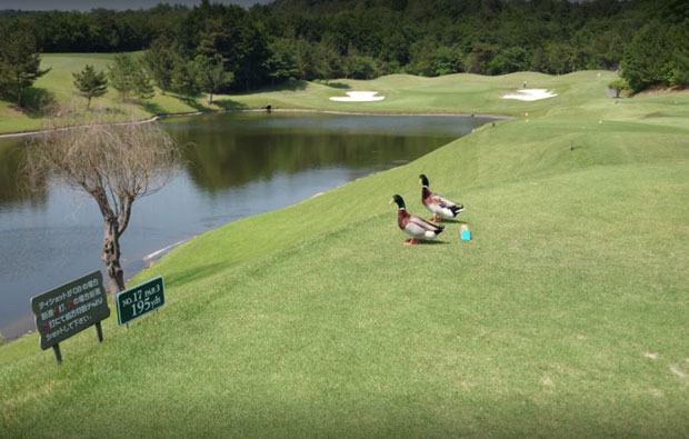 Taiheiyo Club Takarazuka Course Tee Box