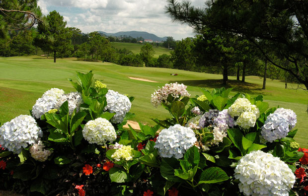 dalat palace golf club