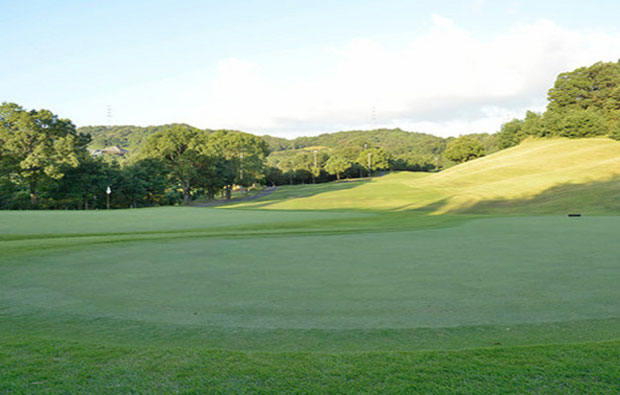 Moon Lake Golf Club Kurate Course Green