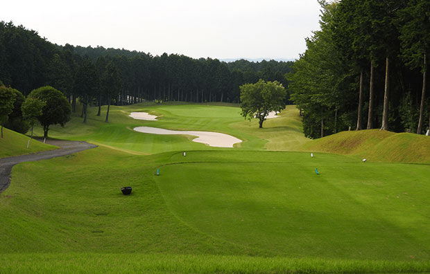 Naka-Izu Green Club Green Par 3