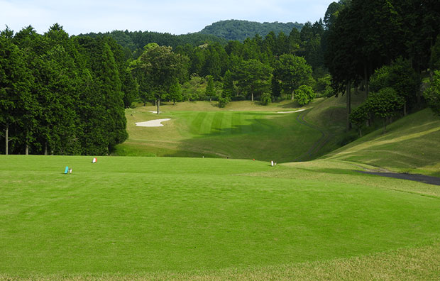 Naka-Izu Green Club Tee Boxes