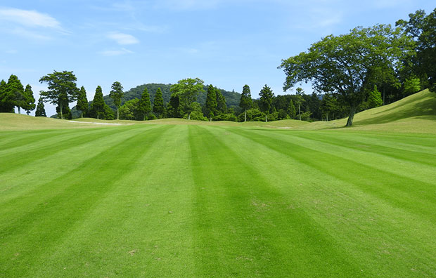 Naka-Izu Green Club Fairway