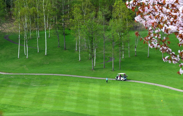 Niseko Golf Course Green