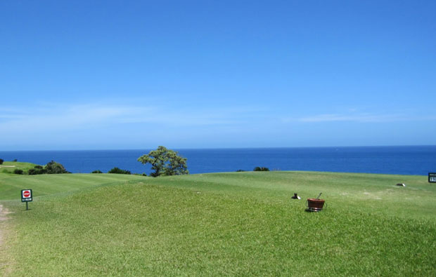 Southern Links Golf Club Tee Box