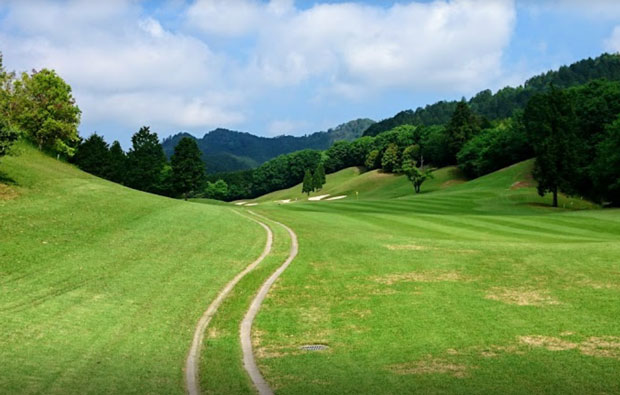 Windsor Park Golf and Country Club Approach